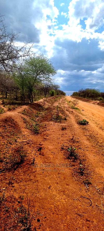 42 Acres Iselengei(Oloitoktok South) at 350k Per Acre - Image 8