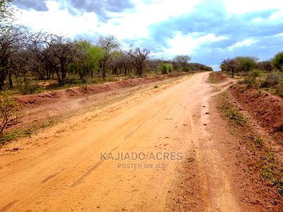 42 Acres Iselengei(Oloitoktok South) at 350k Per Acre - Image 4