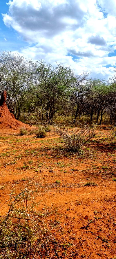 42 Acres Iselengei(Oloitoktok South) at 350k Per Acre - Image 1