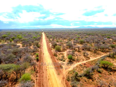 42 Acres Iselengei(Oloitoktok South) at 350k Per Acre - Image 7