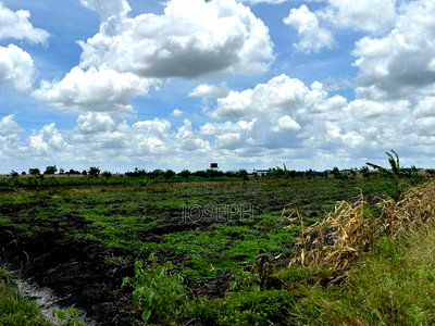 Kisaju 10acres Farm With Borehole - Image 3