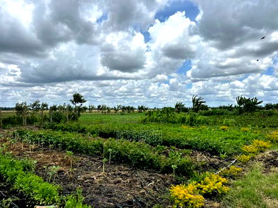 Kisaju 10acres Farm With Borehole - Image 6
