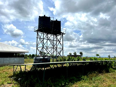 Kisaju 10acres Farm With Borehole - Image 1
