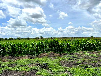 Kisaju 10acres Farm With Borehole - Image 8