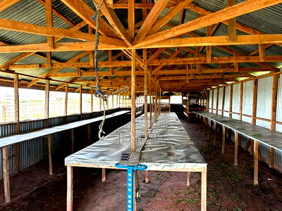 Kisaju 10acres Farm With Borehole - Image 5