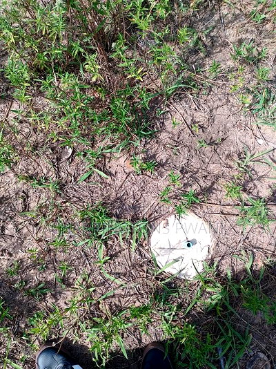 For Sale: 6.5 Acres for Sale in Mwabungo, Midlot - Image 13