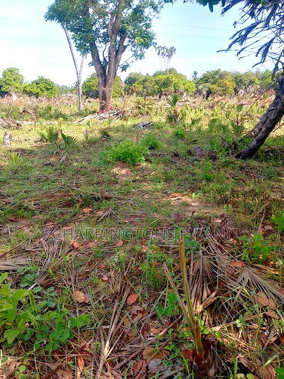 For Sale: 6.5 Acres for Sale in Mwabungo, Midlot - Image 10