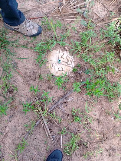 For Sale: 6.5 Acres for Sale in Mwabungo, Midlot - Image 6