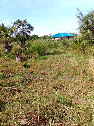 For Sale: 6.5 Acres for Sale in Mwabungo, Midlot - Image 17