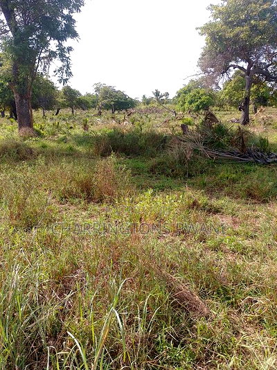 For Sale: 6.5 Acres for Sale in Mwabungo, Midlot - Image 9