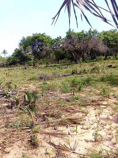 For Sale: 6.5 Acres for Sale in Mwabungo, Midlot - Image 14