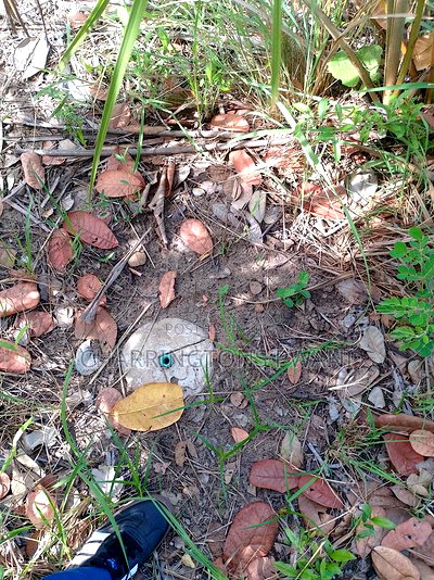 For Sale: 6.5 Acres for Sale in Mwabungo, Midlot - Image 2