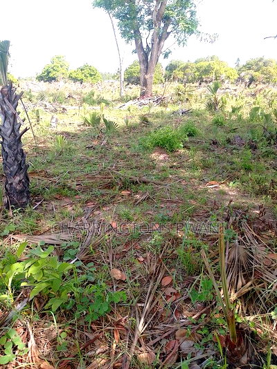 For Sale: 6.5 Acres for Sale in Mwabungo, Midlot - Image 8