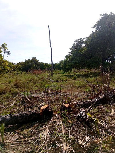 For Sale: 6.5 Acres for Sale in Mwabungo, Midlot - Image 3