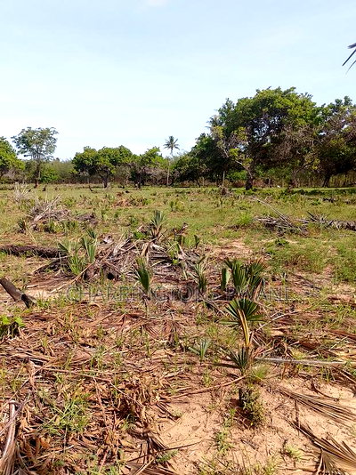 For Sale: 6.5 Acres for Sale in Mwabungo, Midlot - Image 16