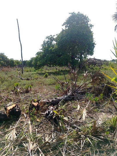 For Sale: 6.5 Acres for Sale in Mwabungo, Midlot - Image 1