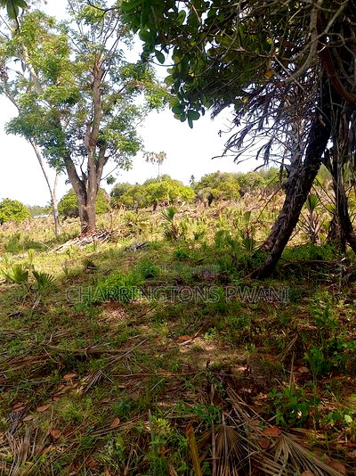 For Sale: 6.5 Acres for Sale in Mwabungo, Midlot - Image 11