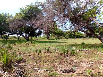 For Sale: 6.5 Acres for Sale in Mwabungo, Midlot - Image 19