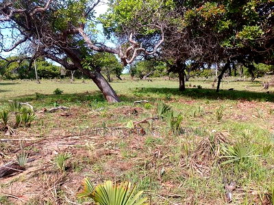 For Sale: 6.5 Acres for Sale in Mwabungo, Midlot - Image 20