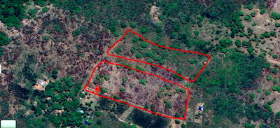 For Sale: 6.5 Acres for Sale in Mwabungo, Midlot - Image 5