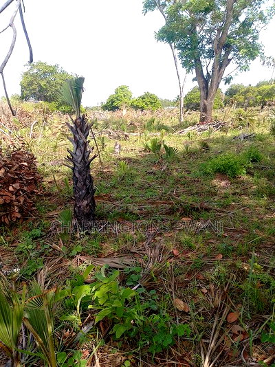 For Sale: 6.5 Acres for Sale in Mwabungo, Midlot - Image 4