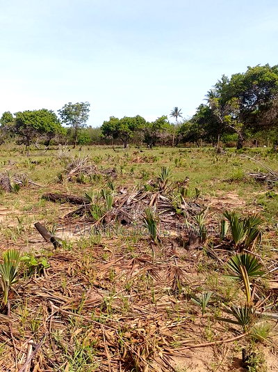 For Sale: 6.5 Acres for Sale in Mwabungo, Midlot - Image 12