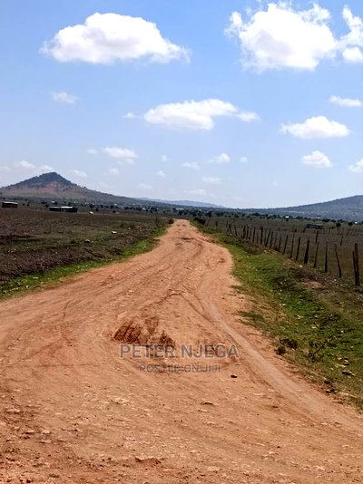 100 Acres for Sale in Ngatatoek Kajiado - Image 6