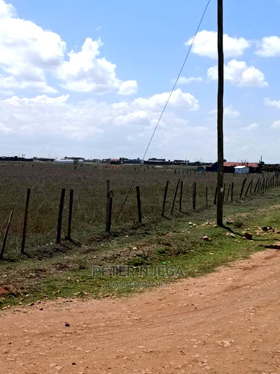 100 Acres for Sale in Ngatatoek Kajiado - Image 1