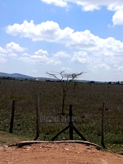 100 Acres for Sale in Ngatatoek Kajiado - Image 2