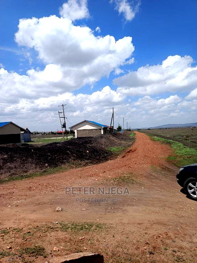 100 Acres for Sale in Ngatatoek Kajiado - Image 4