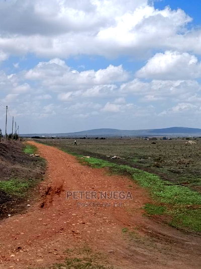 100 Acres for Sale in Ngatatoek Kajiado - Image 5