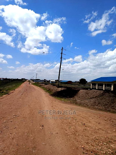 100 Acres for Sale in Ngatatoek Kajiado - Image 3