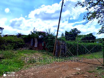Prime 5.2 Acres Safari Park - Image 8