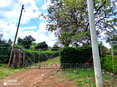 Prime 5.2 Acres Safari Park - Image 9