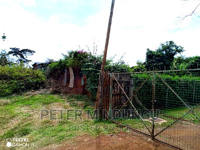 Prime 5.2 Acres Safari Park - Image 7