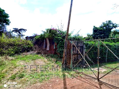 Prime 5.2 Acres Safari Park - Image 4