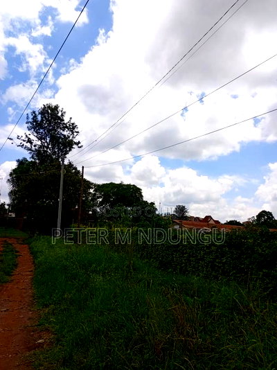 Prime 5.2 Acres Safari Park - Image 2
