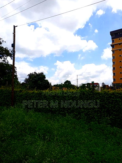 Prime 5.2 Acres Safari Park - Image 3