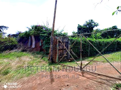 Prime 5.2 Acres Safari Park - Image 5