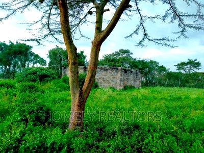 A Quarter (1/2) Acre Plot on Kandisi Near Police Station - Image 2