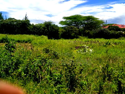 Half an Acre in Ongata Rongai, Rimpa Near the Tarmac - Image 1