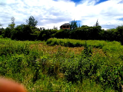 Half an Acre in Ongata Rongai, Rimpa Near the Tarmac - Image 4