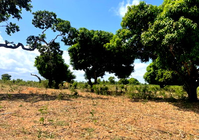 6-Acre Plot in Malindi for KSh 6M