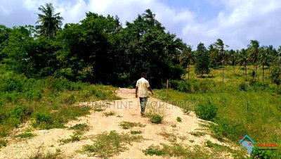 Kikambala Plots for Sale - Image 9