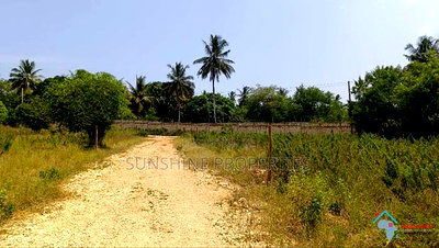 Kikambala Plots for Sale - Image 5