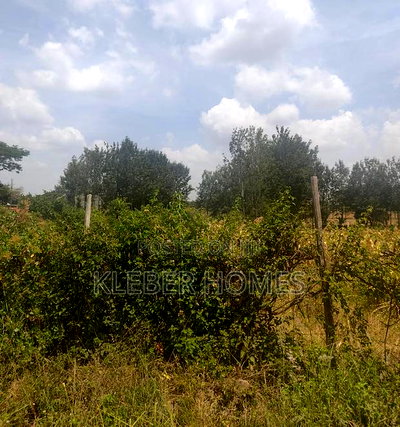 Very Prime Quarter Acre Plot for Sale at Kahawa Sukari - Image 3