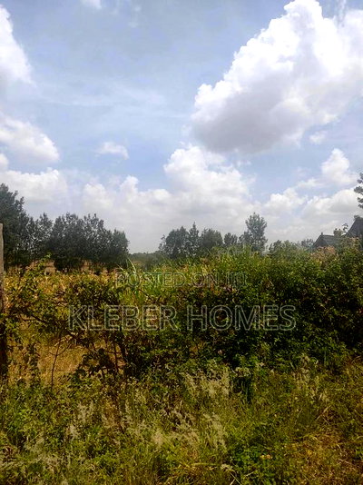 Very Prime Quarter Acre Plot for Sale at Kahawa Sukari - Image 10