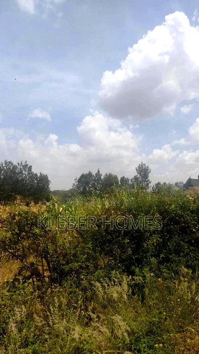 Very Prime Quarter Acre Plot for Sale at Kahawa Sukari - Image 9