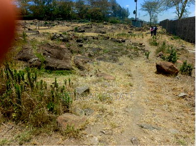 Mixed Use 2 Acre Plot in Naivasha - Image 4