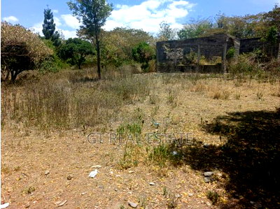 Mixed Use 2 Acre Plot in Naivasha - Image 10